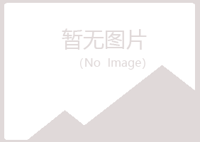 包头青山迷失音乐有限公司